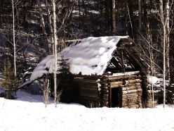 old-log-cabin-53849__480